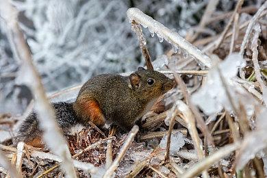 《恐鬼症》重大更新8月17日上线 新装备新系统